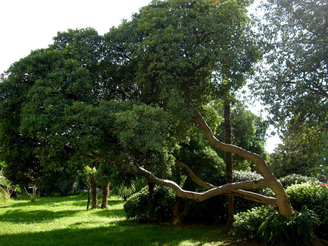 ... ����� ������� �������� �� PhotoGeek.ru #������ ��� ������� #����� ��������������