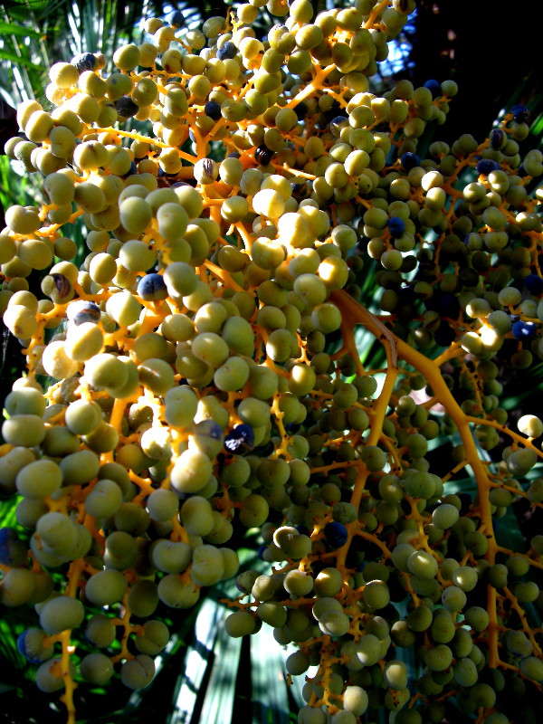 ������ ����� ������� �������� �� PhotoGeek.ru #������ ��� ������� #����� ��������������