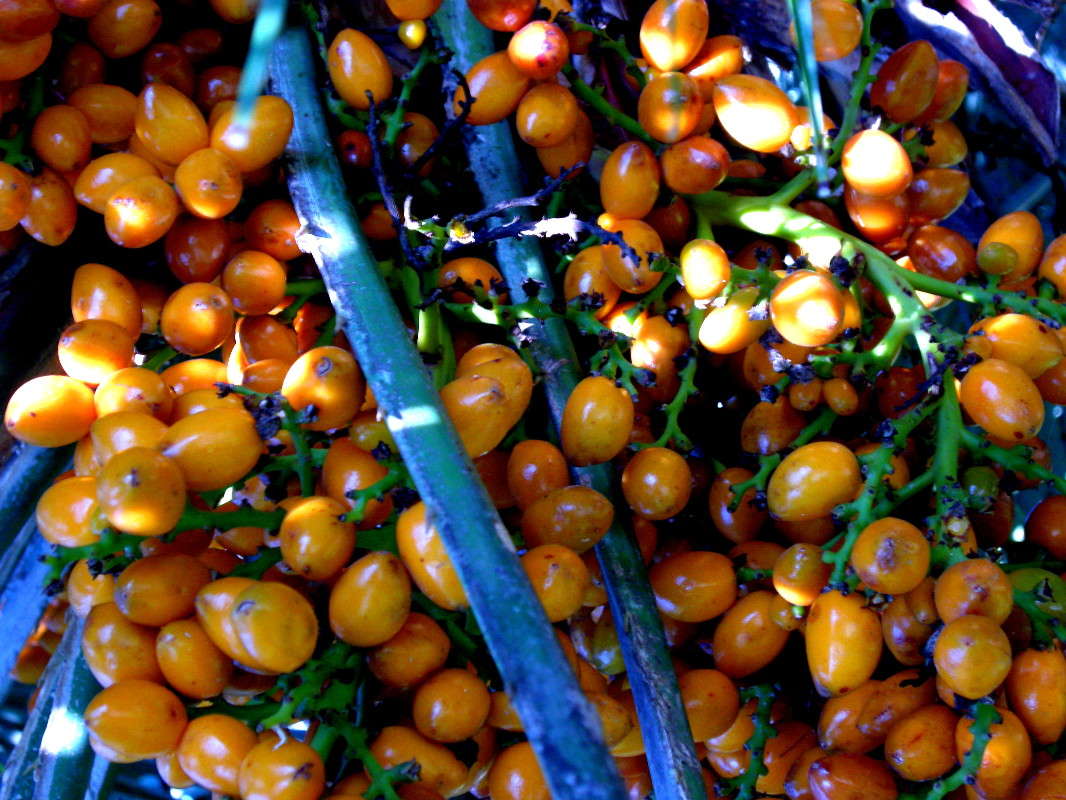 ������(2) ����� ������� �������� �� PhotoGeek.ru #������ ��� ������� #����� ��������������