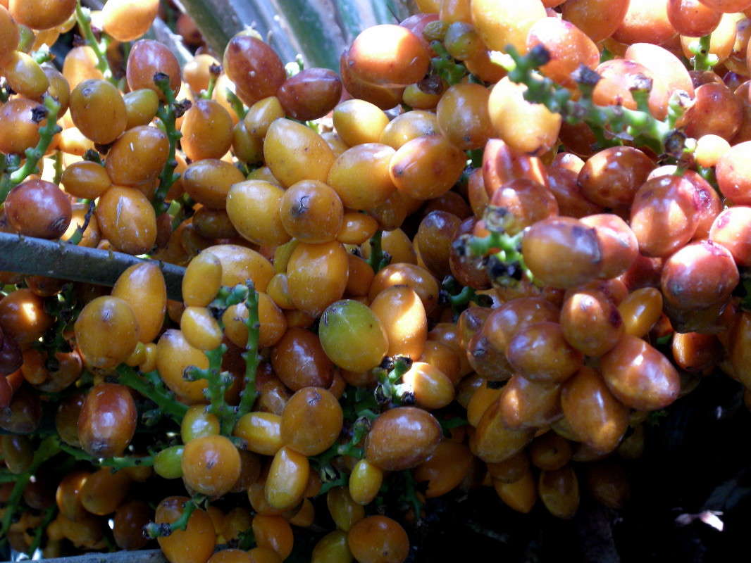 ������(5) ����� ������� �������� �� PhotoGeek.ru #����� ��������������