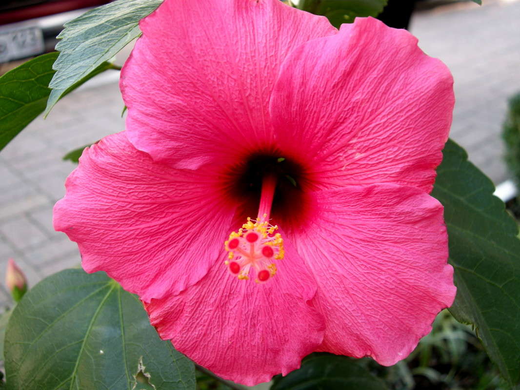 ... ����� ������� �������� �� PhotoGeek.ru #������ ��� ������� #����� ��������������