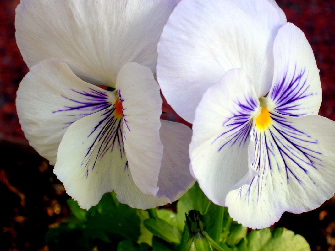 ... ����� ������� �������� �� PhotoGeek.ru #����� ��������������