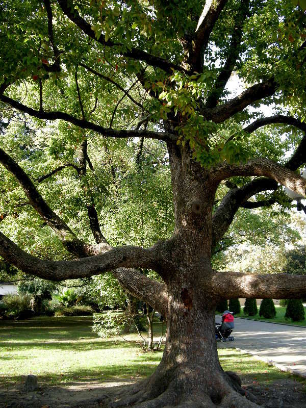 ��������� ������ ����� ������� �������� �� PhotoGeek.ru #����� ��������������