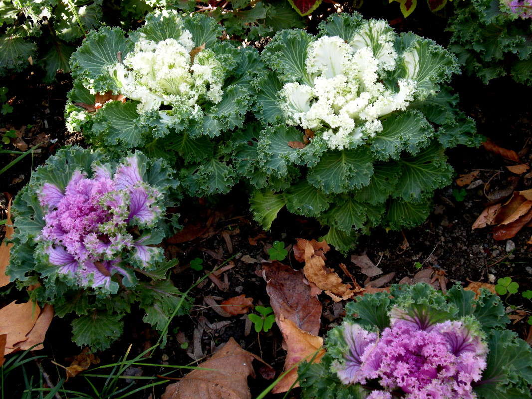 ... ����� ������� �������� �� PhotoGeek.ru #����� ��������������