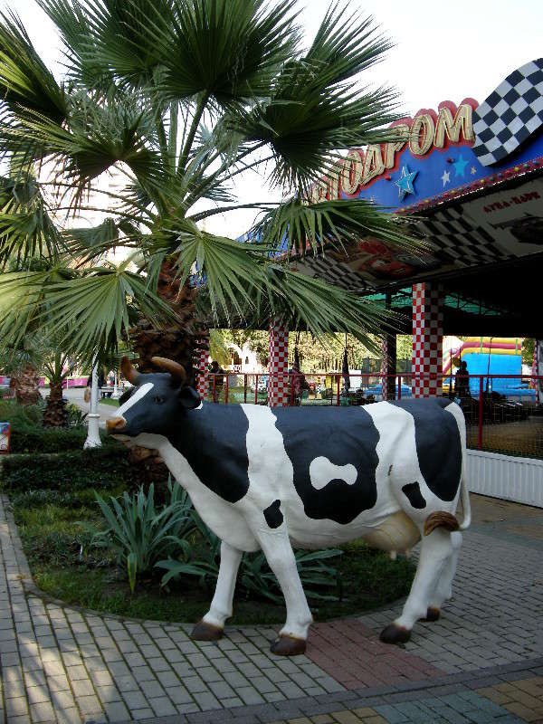 ... ����� ������� �������� �� PhotoGeek.ru #����� #��������� ������