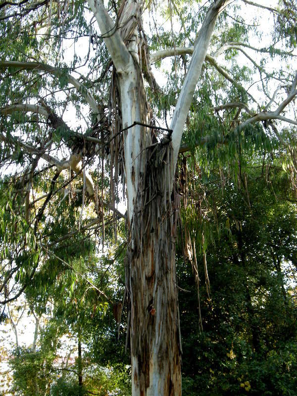 �������� ����� ������� �������� �� PhotoGeek.ru #����� ��������������