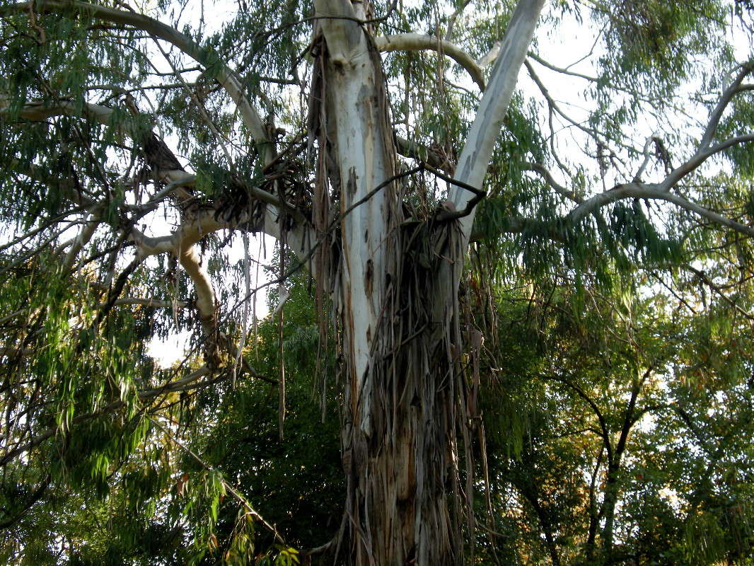 ��������(2) ����� ������� �������� �� PhotoGeek.ru #����� ��������������