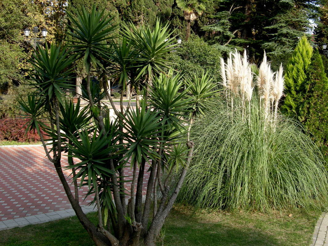 ... ����� ������� �������� �� PhotoGeek.ru #��������� ������