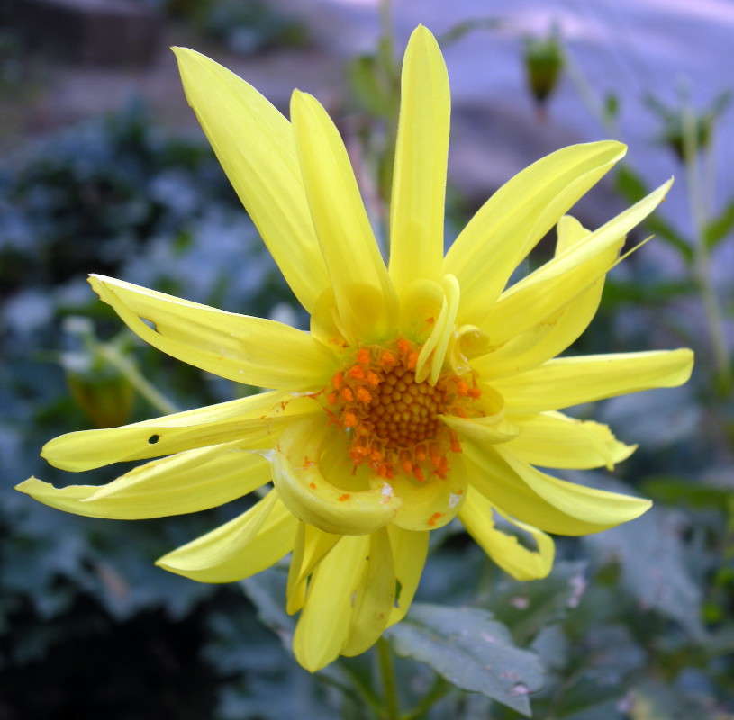 ... ����� ������� �������� �� PhotoGeek.ru #����� ��������������