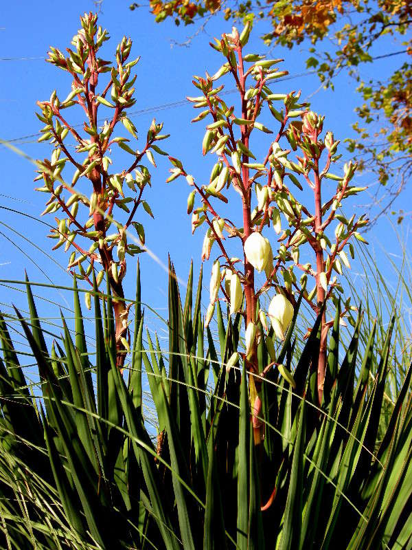 ... ����� ������� �������� �� PhotoGeek.ru #����� ��������������