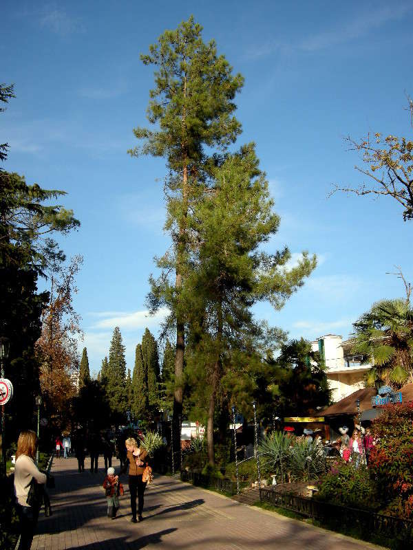 � �����"�������" ����� ������� �������� �� PhotoGeek.ru #��������� ������