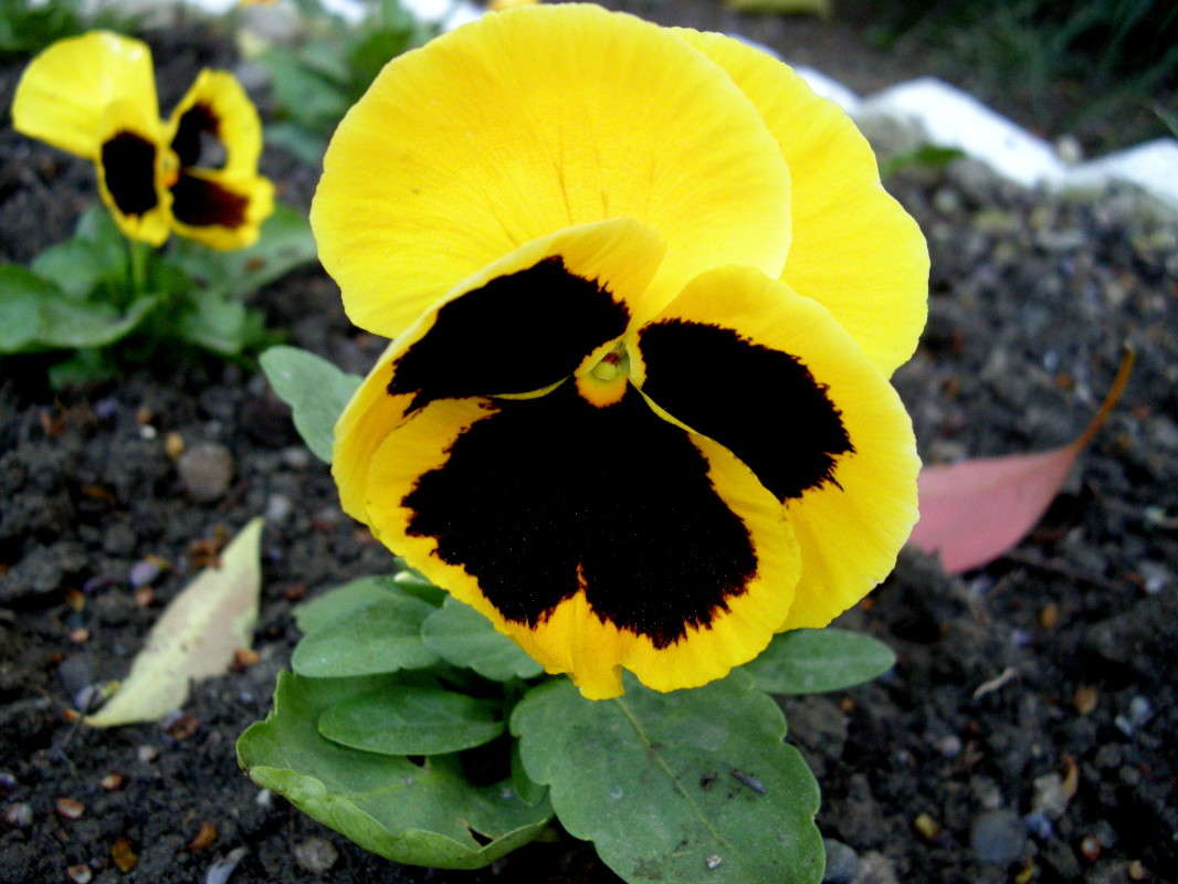 ... ����� ������� �������� �� PhotoGeek.ru #����� ��������������