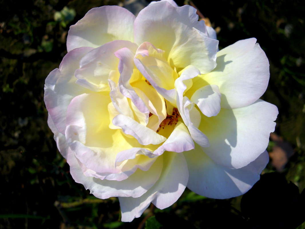 ����� ���� ����� ������� �������� �� PhotoGeek.ru #����� ��������������