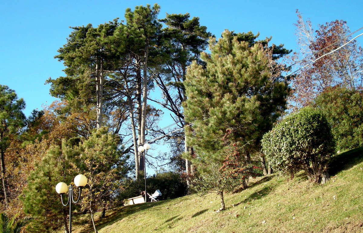 ����� � ���� ����� ������� �������� �� PhotoGeek.ru #������ ��� ������� #��������� ������