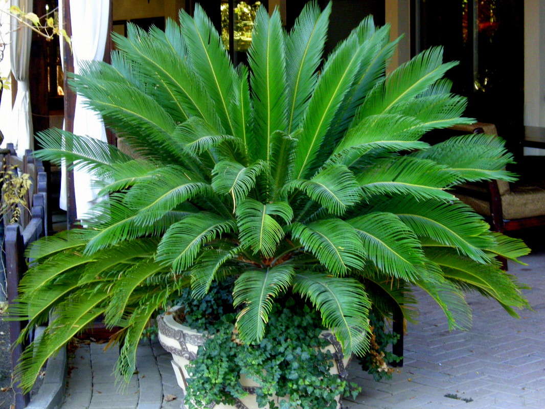 ����� (��������) ����� ������� �������� �� PhotoGeek.ru #����� ��������������