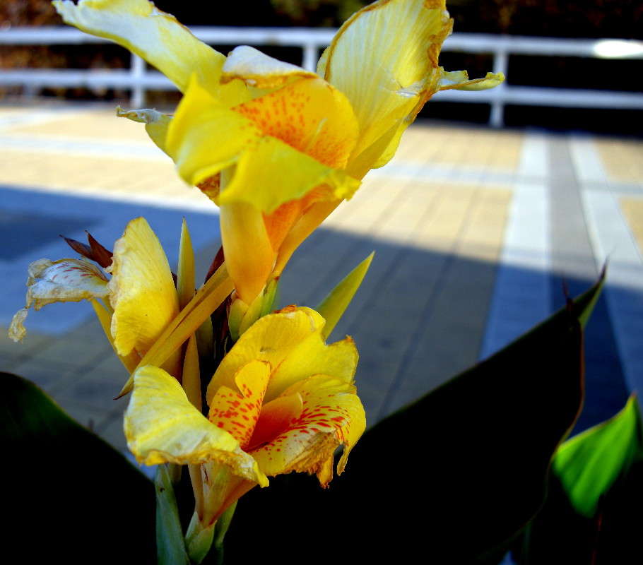 ����� ����� ������� �������� �� PhotoGeek.ru #����� ��������������