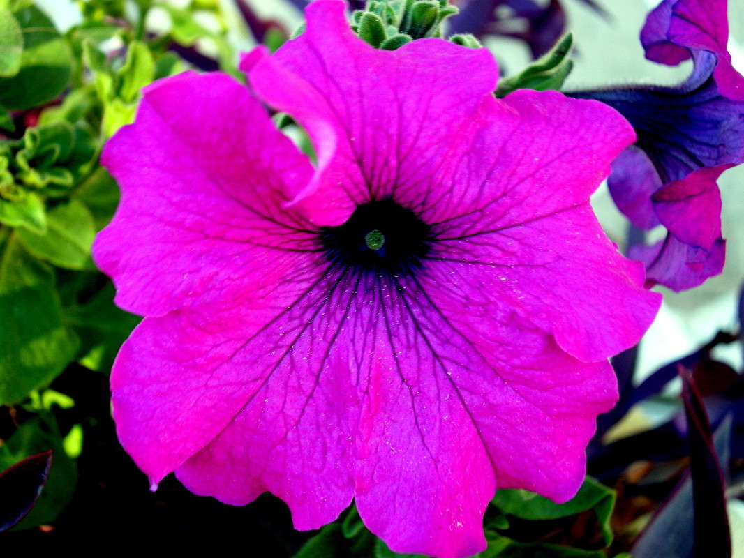 ... ����� ������� �������� �� PhotoGeek.ru #����� ��������������