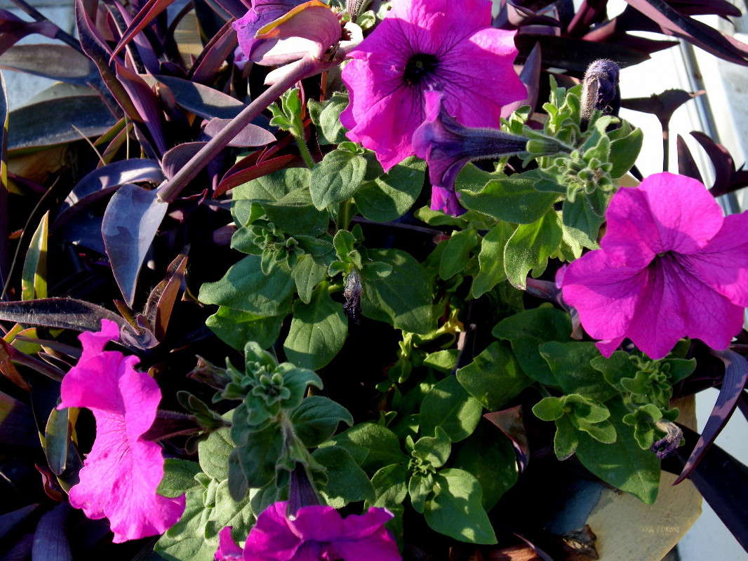 ... ����� ������� �������� �� PhotoGeek.ru #����� ��������������