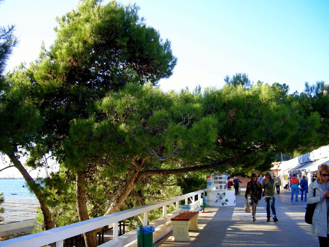 ���������� ����� ������� �������� �� PhotoGeek.ru #��������� ������