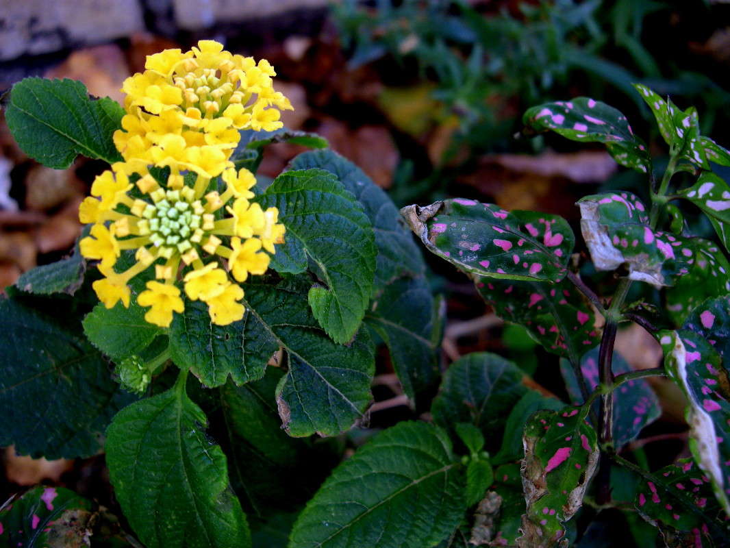 ... ����� ������� �������� �� PhotoGeek.ru #������ ��� ������� #����� ��������������