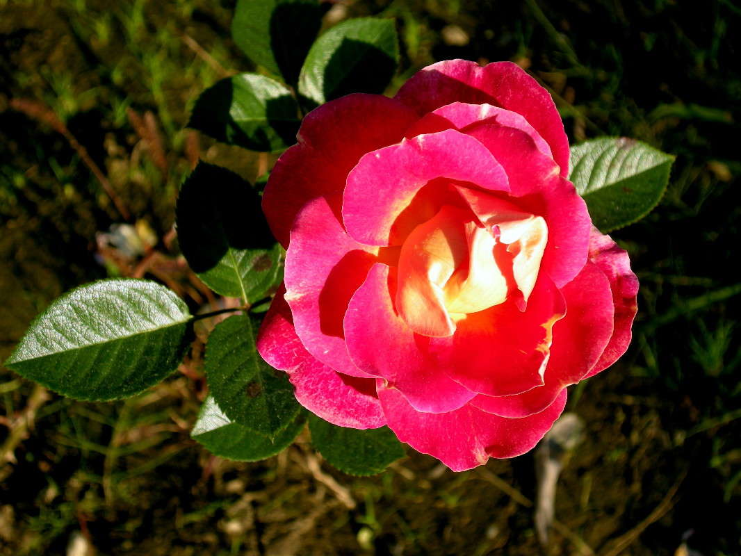 ... ����� ������� �������� �� PhotoGeek.ru #����� ��������������