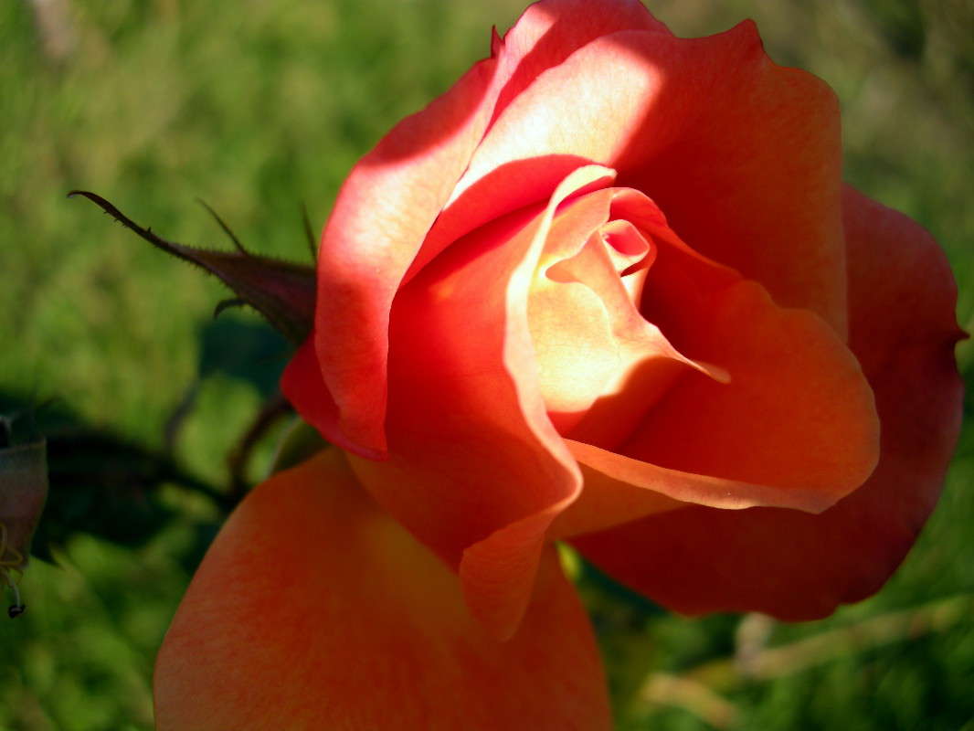 ... ����� ������� �������� �� PhotoGeek.ru #����� ��������������