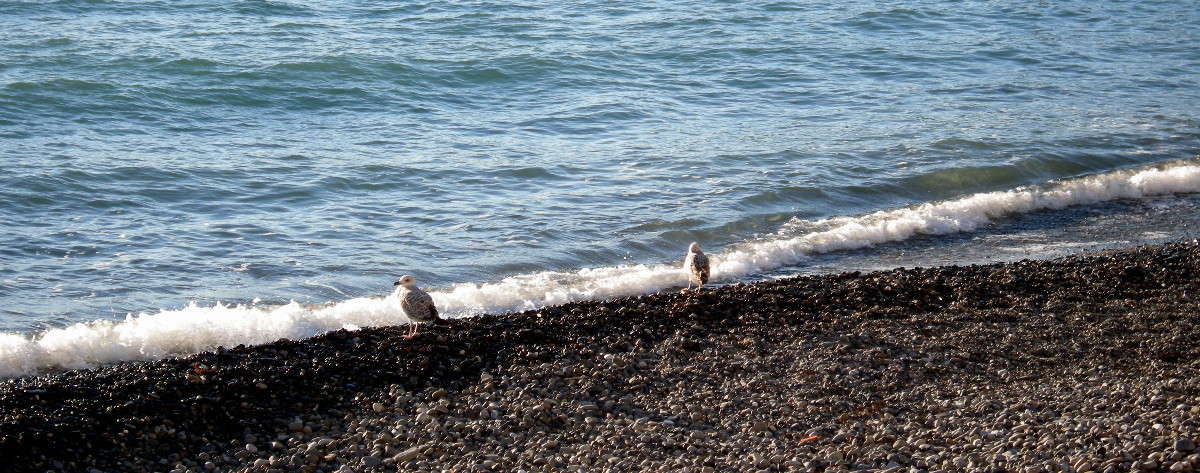 ... ����� ������� �������� �� PhotoGeek.ru #������ ��� �������