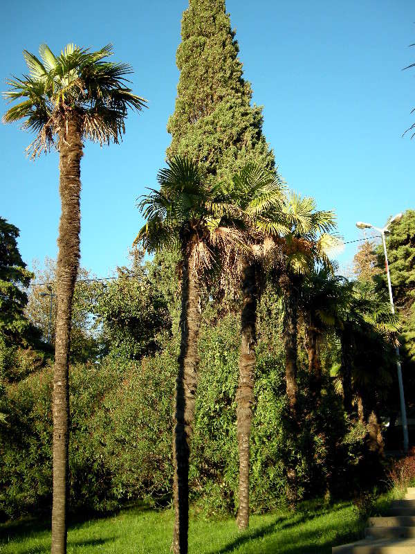 ... ����� ������� �������� �� PhotoGeek.ru #��������� ������ #����� ��������������