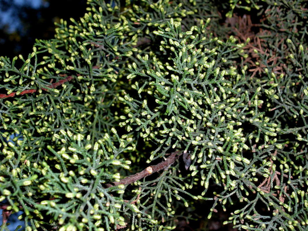 ... ����� ������� �������� �� PhotoGeek.ru #����� ��������������