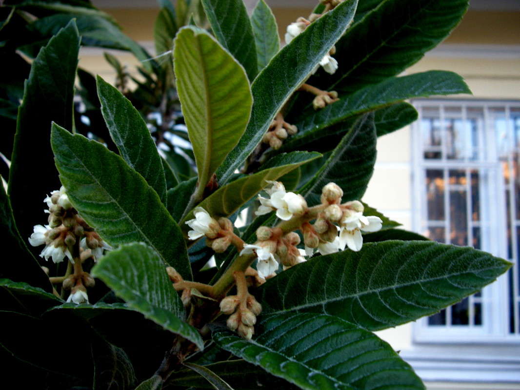 ������� ����� ������� �������� �� PhotoGeek.ru #����� ��������������