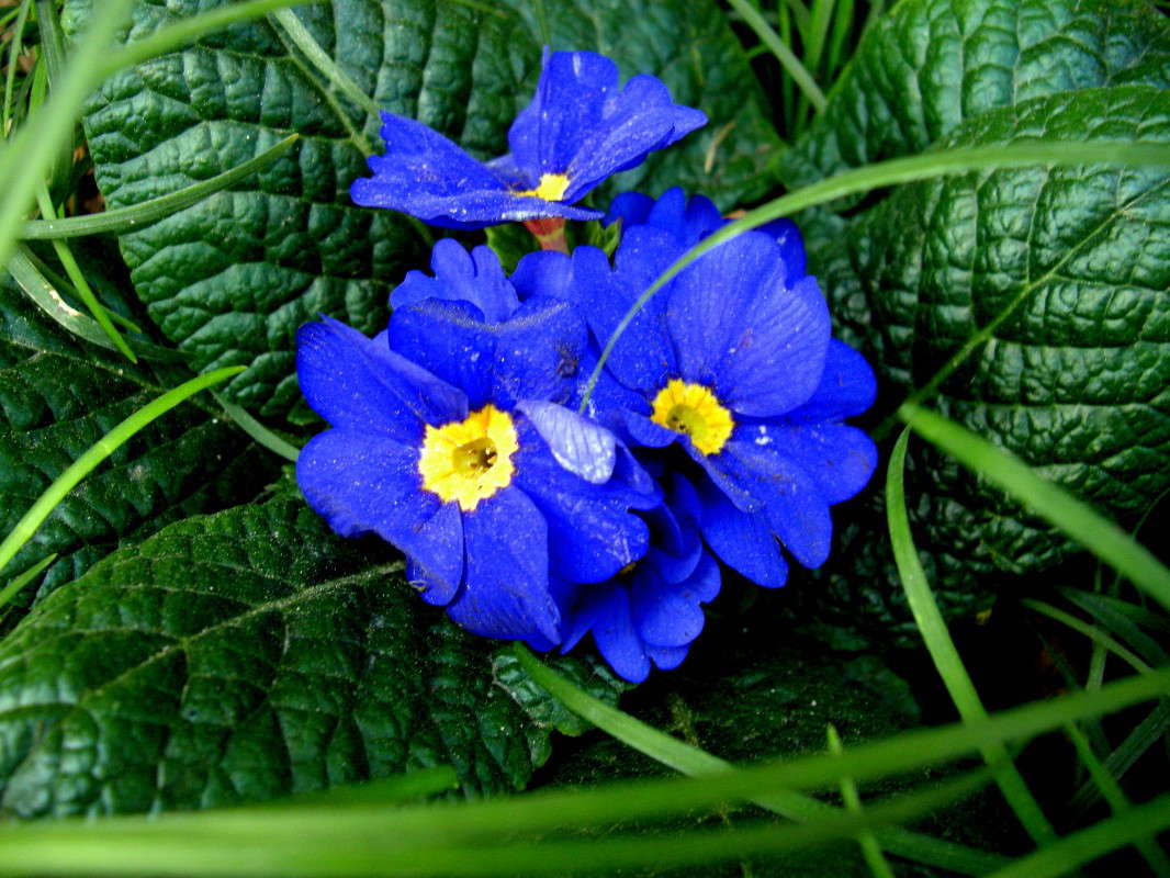 ... ����� ������� �������� �� PhotoGeek.ru #����� ��������������