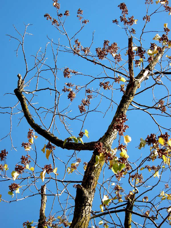 ��������� ������ ����� ������� �������� �� PhotoGeek.ru #����� ��������������