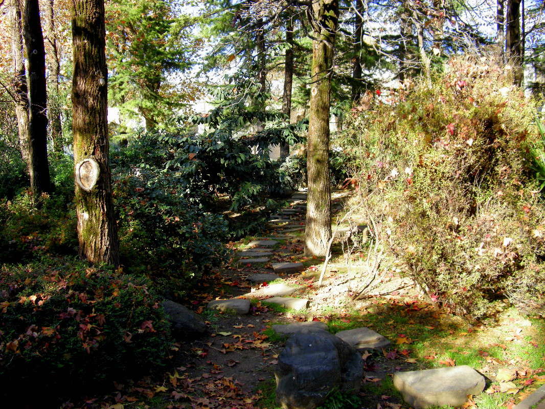 � ������ ����� ������� �������� �� PhotoGeek.ru #��������� ������