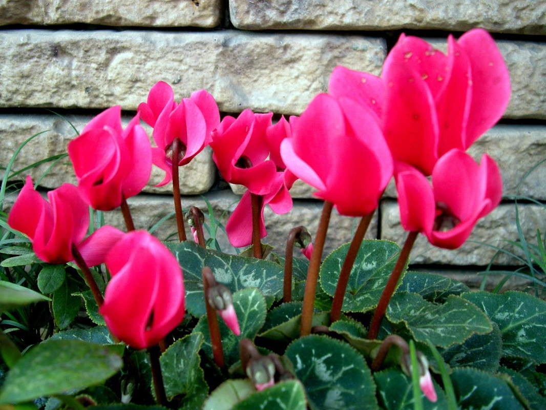 ... ����� ������� �������� �� PhotoGeek.ru #����� ��������������