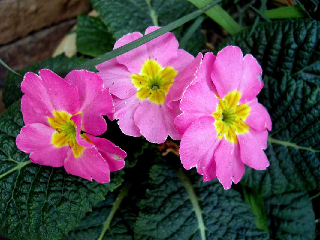 ... ����� ������� �������� �� PhotoGeek.ru #����� ��������������