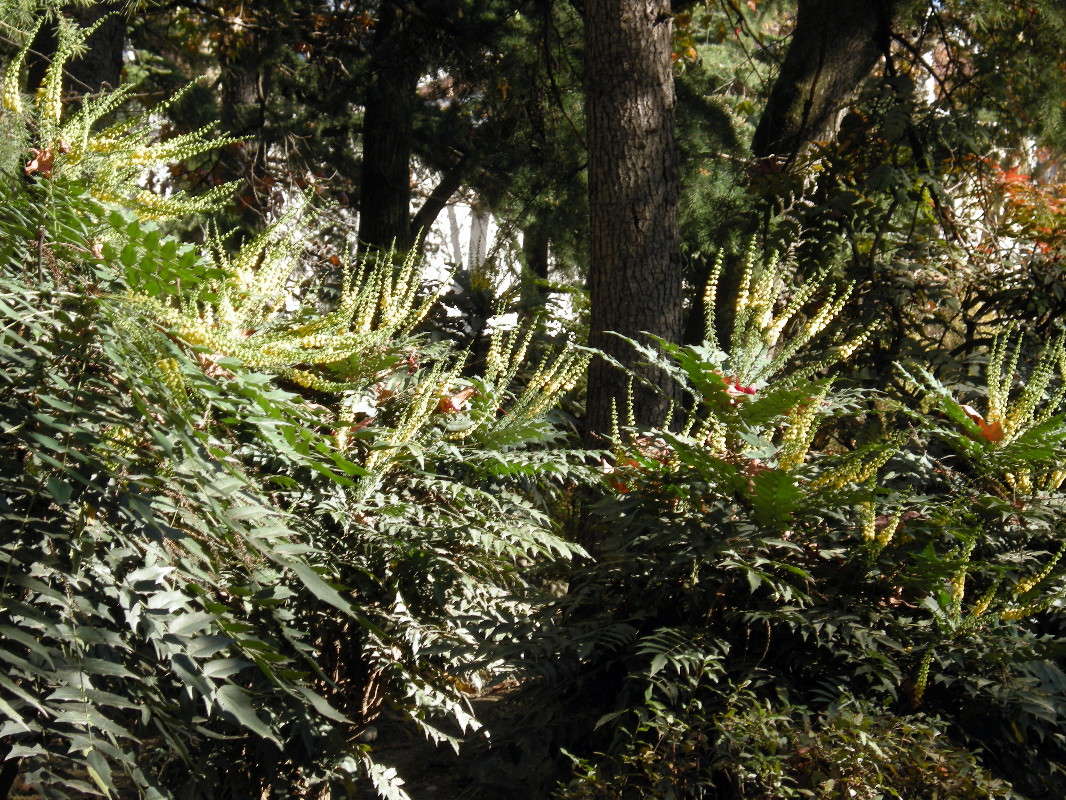 ... ����� ������� �������� �� PhotoGeek.ru #����� ��������������