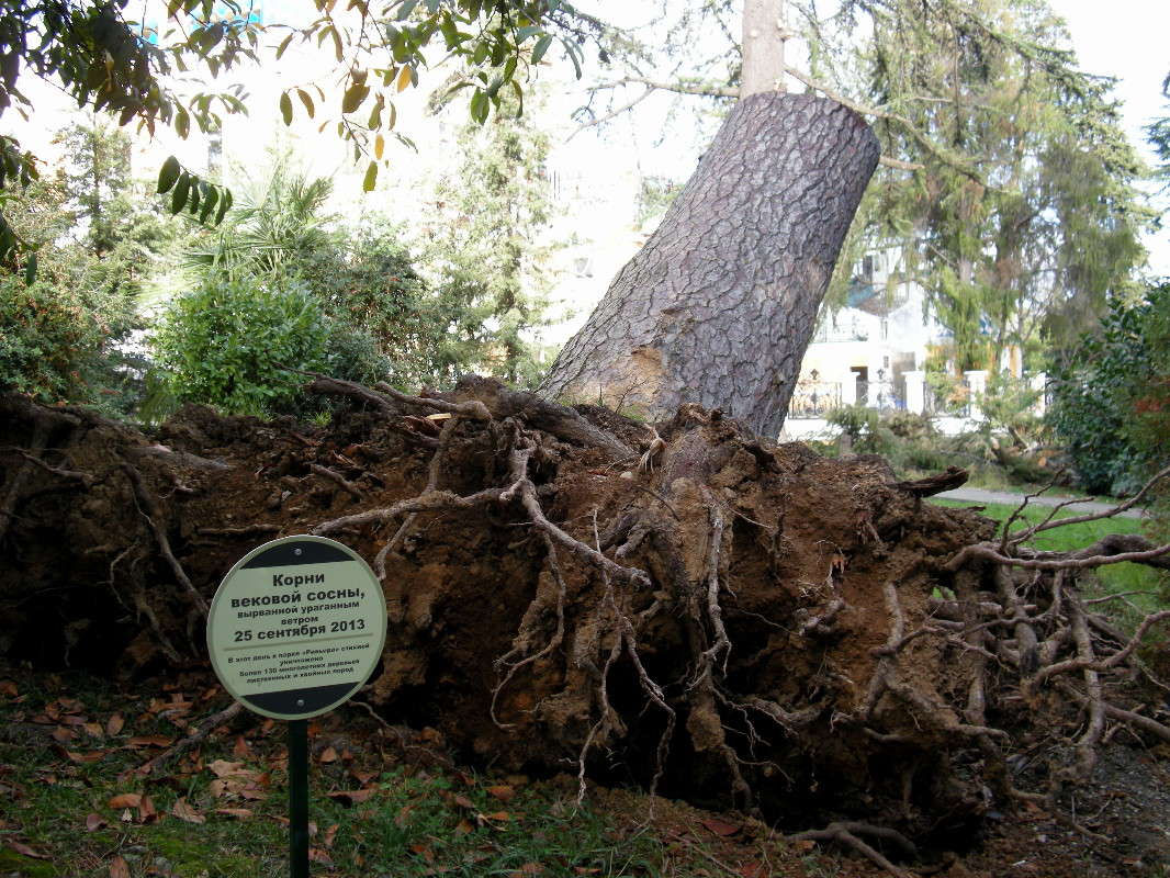 ����� ������� ����� ������� �������� �� PhotoGeek.ru #����� #������ ��� �������