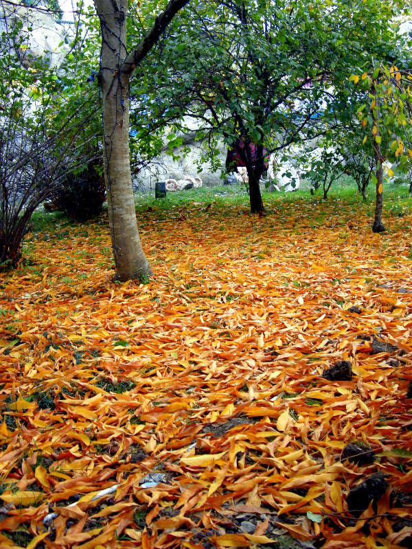 ����� ����� ������� �������� �� PhotoGeek.ru #������ ��� �������