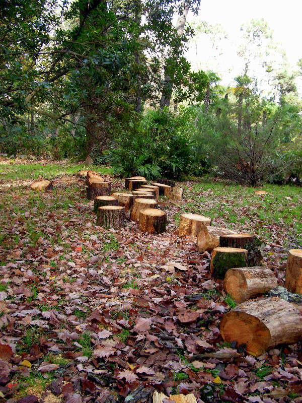 ������ ����� ������� �������� �� PhotoGeek.ru #������ ��� �������