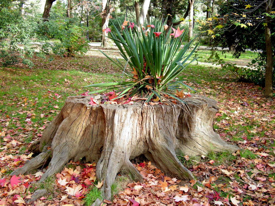 ������� ����� ������� �������� �� PhotoGeek.ru #������ ��� ������� #����� ��������������