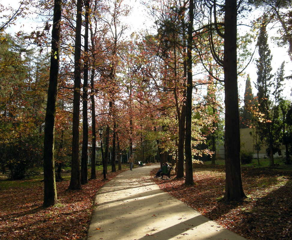 ����������� ����� ����� ������� �������� �� PhotoGeek.ru #������ ��� �������