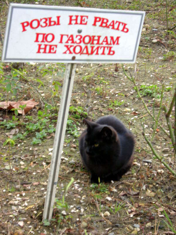 ������ ����� ������� �������� �� PhotoGeek.ru #�������� ���