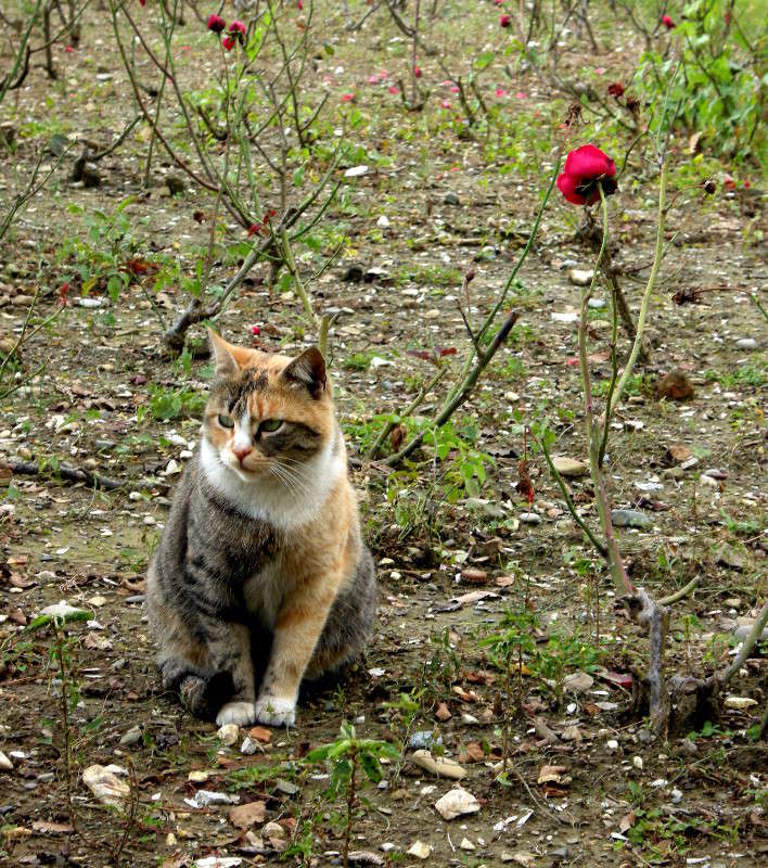 ��������(��� 5 ����� � �����)! ����� ������� �������� �� PhotoGeek.ru #�������� ���