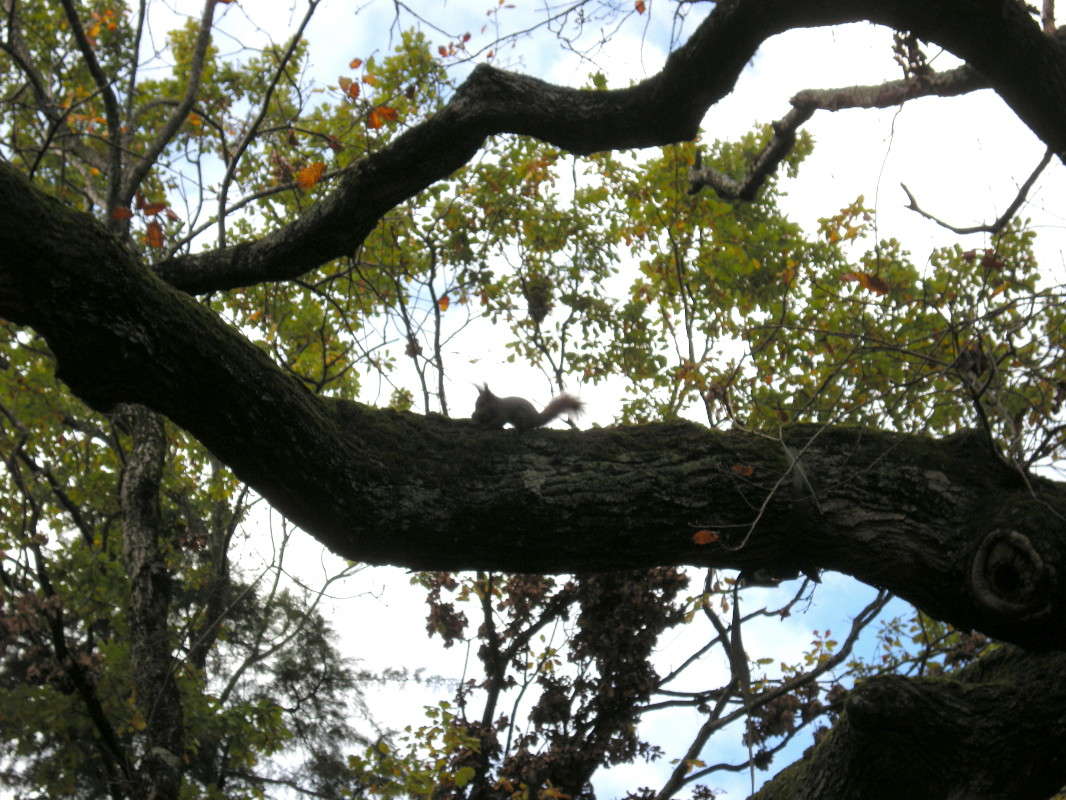 ... ����� ������� �������� �� PhotoGeek.ru #�������� ��� #����� ��������������