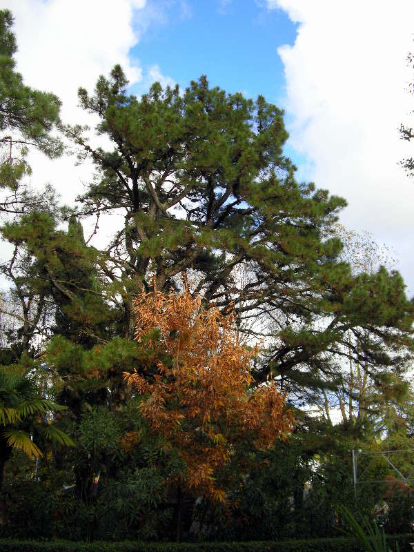 ... ����� ������� �������� �� PhotoGeek.ru #����� ��������������