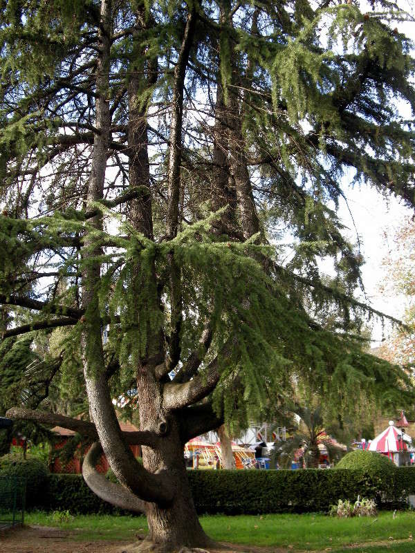 ... ����� ������� �������� �� PhotoGeek.ru #����� ��������������