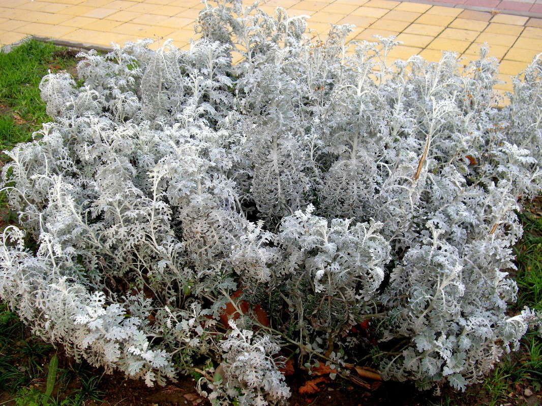 ... ����� ������� �������� �� PhotoGeek.ru #����� ��������������