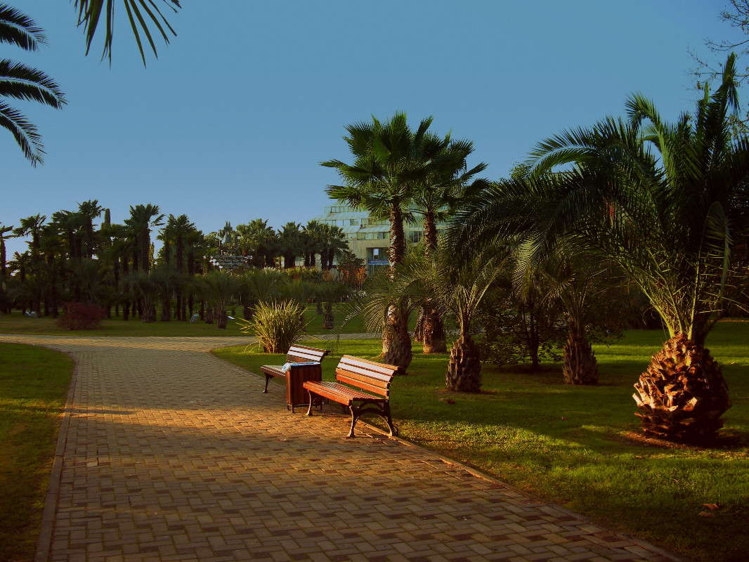 ����� ����� ������� �������� �� PhotoGeek.ru #��������� ������