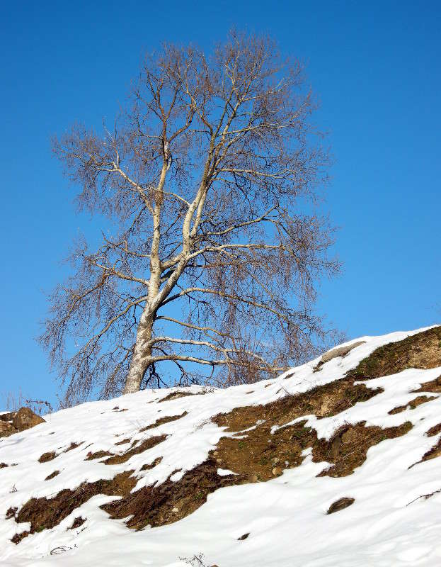 ... ����� ������� �������� �� PhotoGeek.ru #������ ��� ������� #����� ��������������