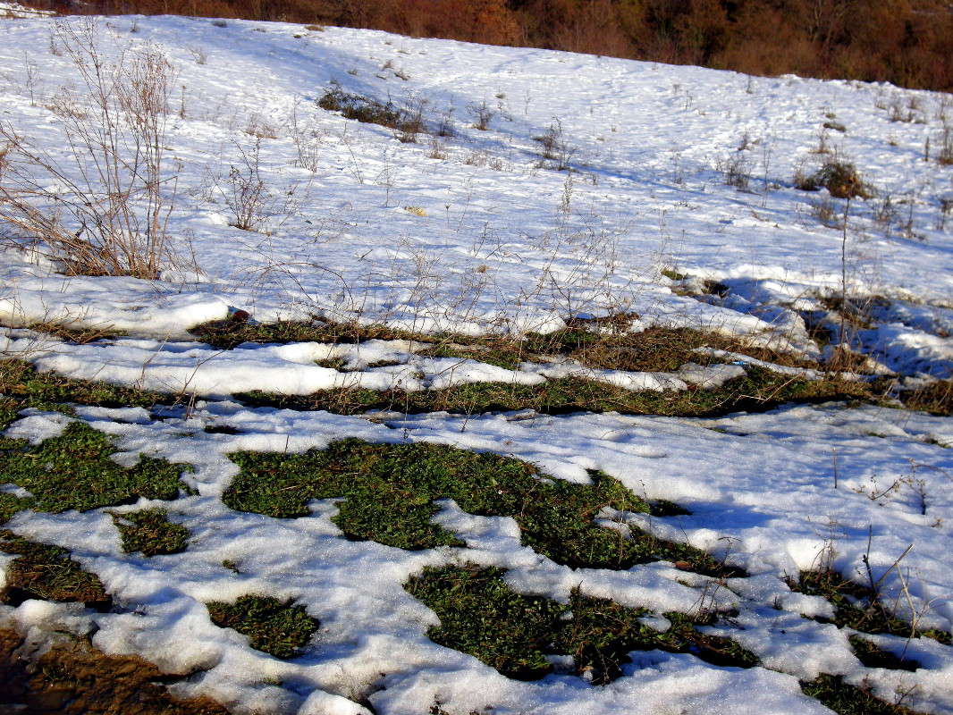 ... ����� ������� �������� �� PhotoGeek.ru #������ ��� �������